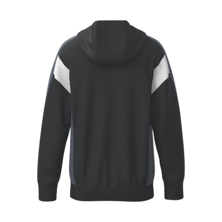 Veste d'entraînement ERIMA Celebrate 125 avec capuche
