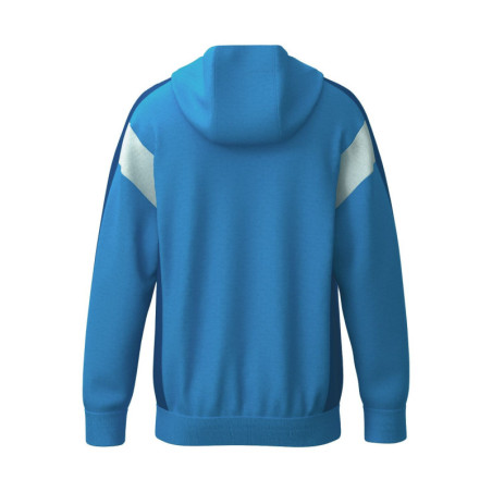 Veste d'entraînement ERIMA Celebrate 125 avec capuche