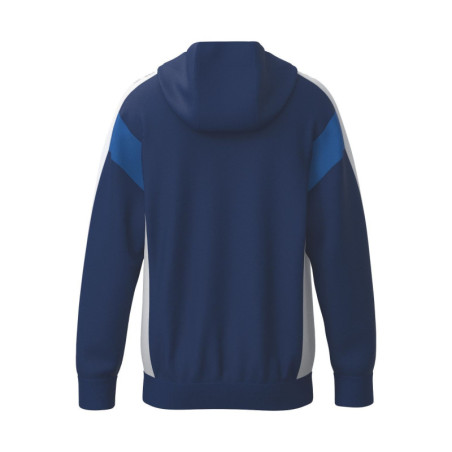 Veste d'entraînement ERIMA Celebrate 125 avec capuche