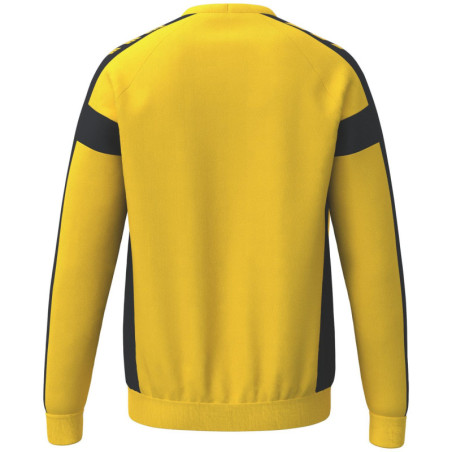 Sweat-Shirt gardien de handball Erima CMPT 3 WINGS