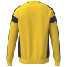 Sweat-Shirt gardien de handball Erima CMPT 3 WINGS