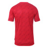 Maillot Uhlsport Progressive 28
