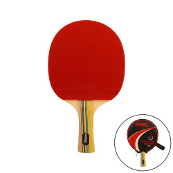 Raquette de tennis de table SOFTEE P300
