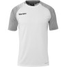 Maillot Kempa Ambition 28 Blanc Gris foncé Chiné face