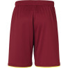 Short Club Uhlsport bordeaux/jaune fluo dos