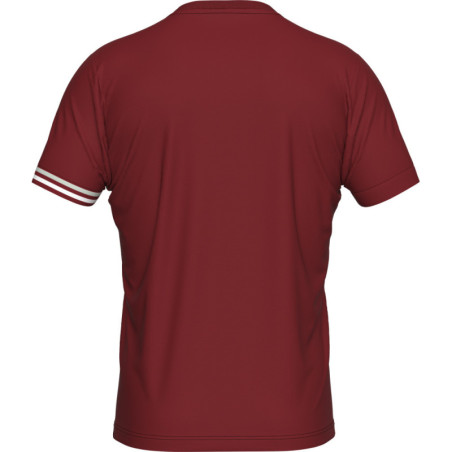 Maillot ERREA Evan Maroon Grey White dos