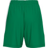 Short de basket ERREA Femme Chicago réversible Green White dos