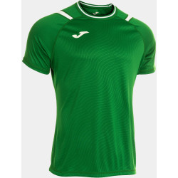 Maillot Joma Dinamo II Green Medium White