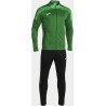 Survêtement Joma Championship VIII Green White Black