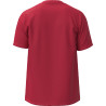 Maillot MIZUNO Training Tee red dos