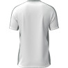 Maillot MIZUNO Trn Tee white/grey dos