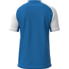 Maillot MIZUNO Meisaigara royal/white dos