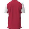 Maillot MIZUNO Meisaigara red/white dos
