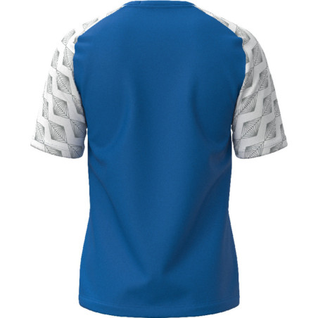 Maillot MIZUNO Kongougara royal dos