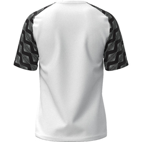 Maillot MIZUNO Kongougara white dos