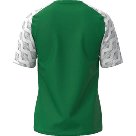 Maillot MIZUNO Kongougara green dos