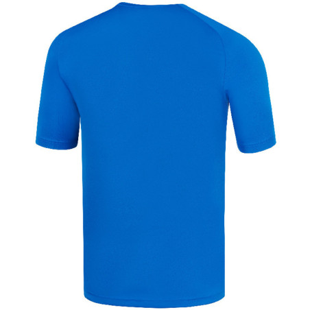 Maillot MIZUNO Iwata royal dos