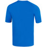 Maillot MIZUNO Iwata royal dos