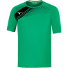 Maillot MIZUNO Iwata green
