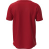 Maillot MIZUNO RUGBY red dos