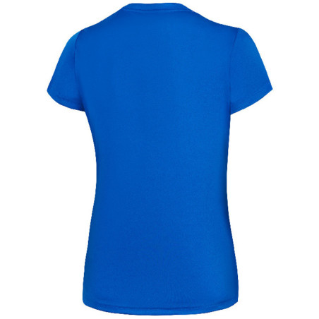 Maillot MIZUNO CHIBA Femme royal dos