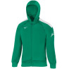 VESTE A CAPUCHE FEMME MIZUNO green