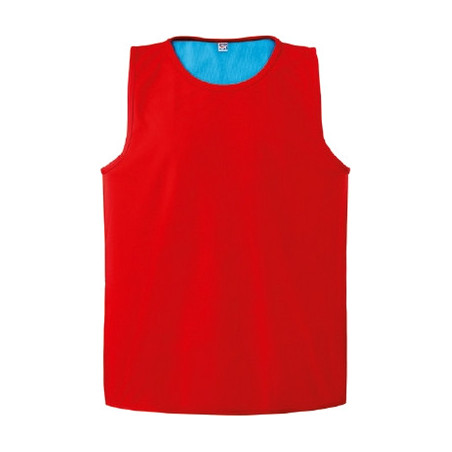 Chasuble réversible Rugby rouge bleu turquoise