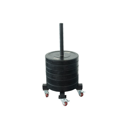 Support WHEEL disques olympiques 50 mm mobile | CLUB-SHOP.fr