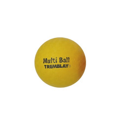 Ballon Multi-Activités – EPS & Jeux Polyvalents | CLUB-SHOP.fr 2