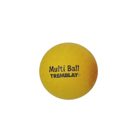Ballon Multi-Activités – EPS & Jeux Polyvalents | CLUB-SHOP.fr