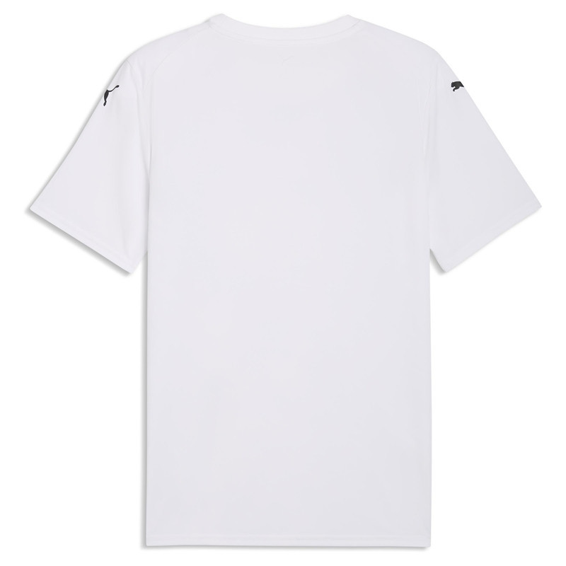 Maillot PUMA teamFINAL26 Graphic Jersey | CLUB-SHOP.fr