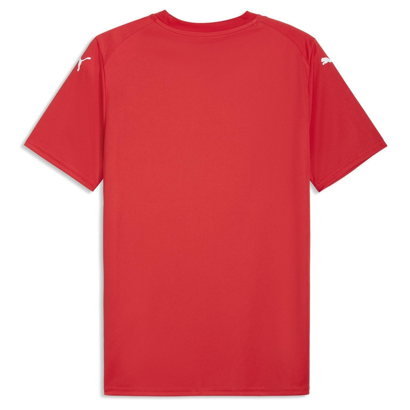 Maillot PUMA teamFINAL26 Graphic Jersey | CLUB-SHOP.fr