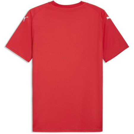 Maillot PUMA teamFINAL26 Graphic Jersey | CLUB-SHOP.fr