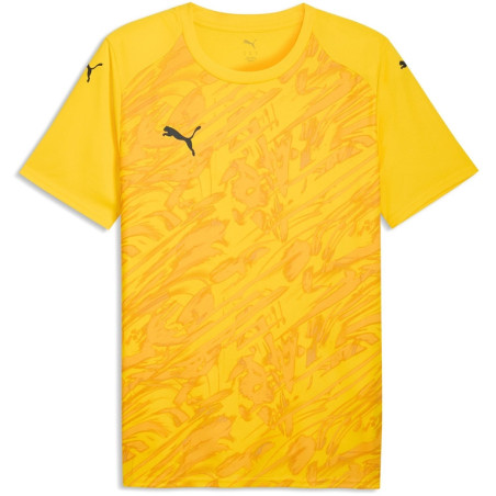 Maillot PUMA teamFINAL26 Graphic Jersey | CLUB-SHOP.fr