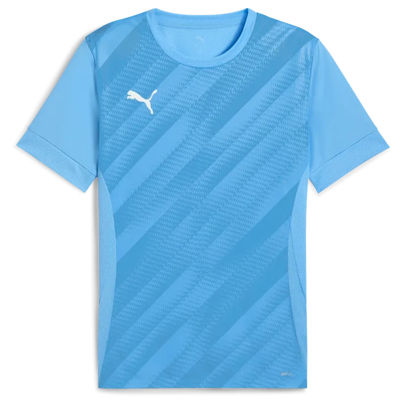 Maillot PUMA teamGOAL Graphic Jersey | CLUB-SHOP.fr