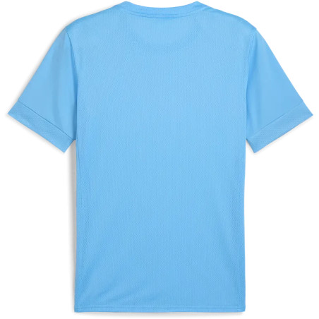 Maillot PUMA teamGOAL Graphic Jersey | CLUB-SHOP.fr