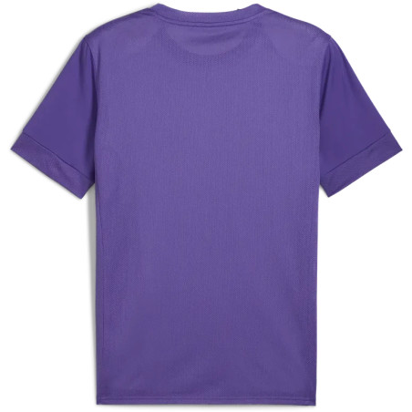 Maillot PUMA teamGOAL Graphic Jersey | CLUB-SHOP.fr