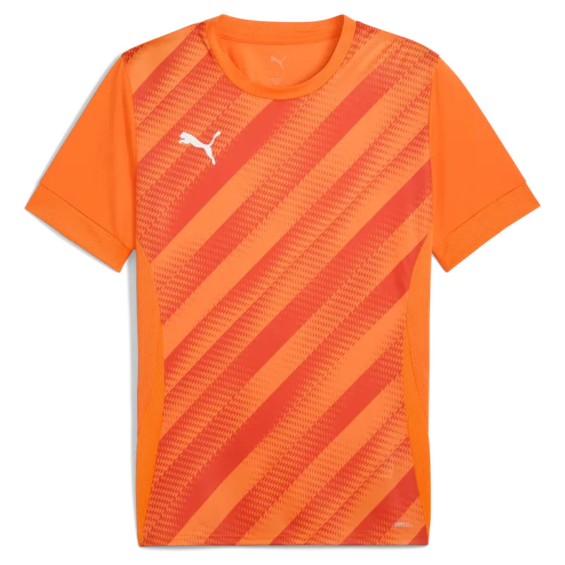 Maillot PUMA teamGOAL Graphic Jersey | CLUB-SHOP.fr
