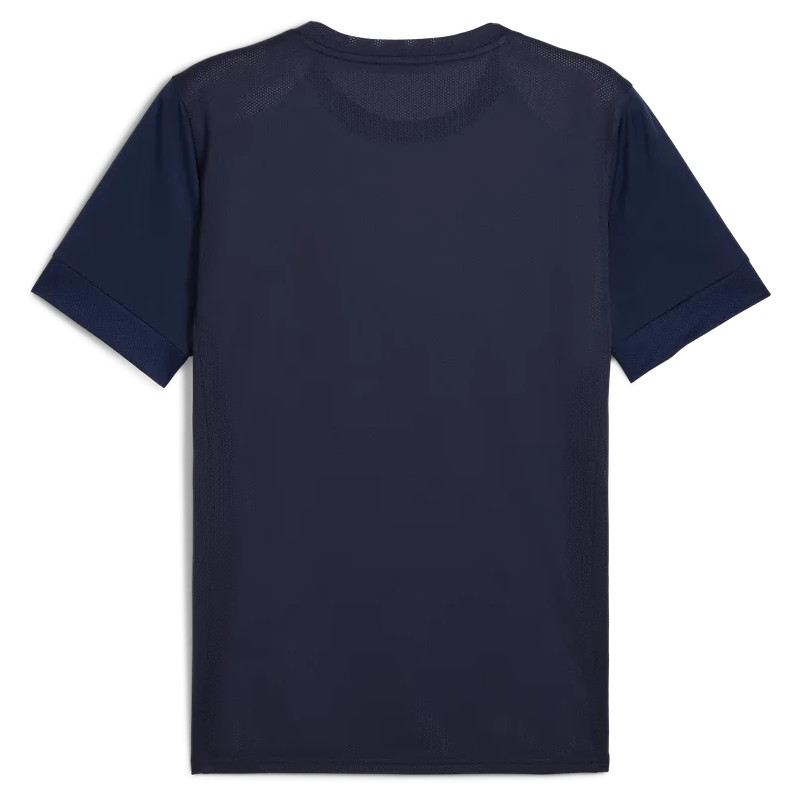 Maillot PUMA teamGOAL Graphic Jersey | CLUB-SHOP.fr