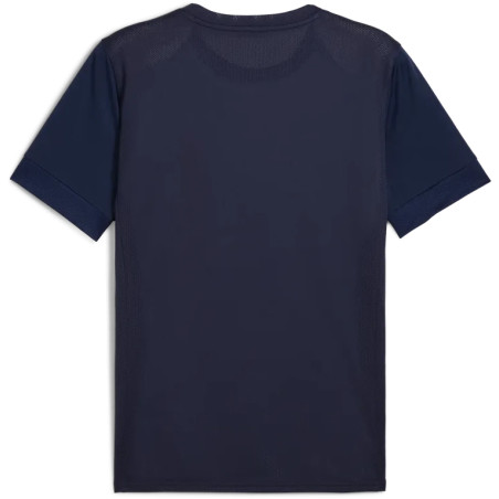 Maillot PUMA teamGOAL Graphic Jersey | CLUB-SHOP.fr