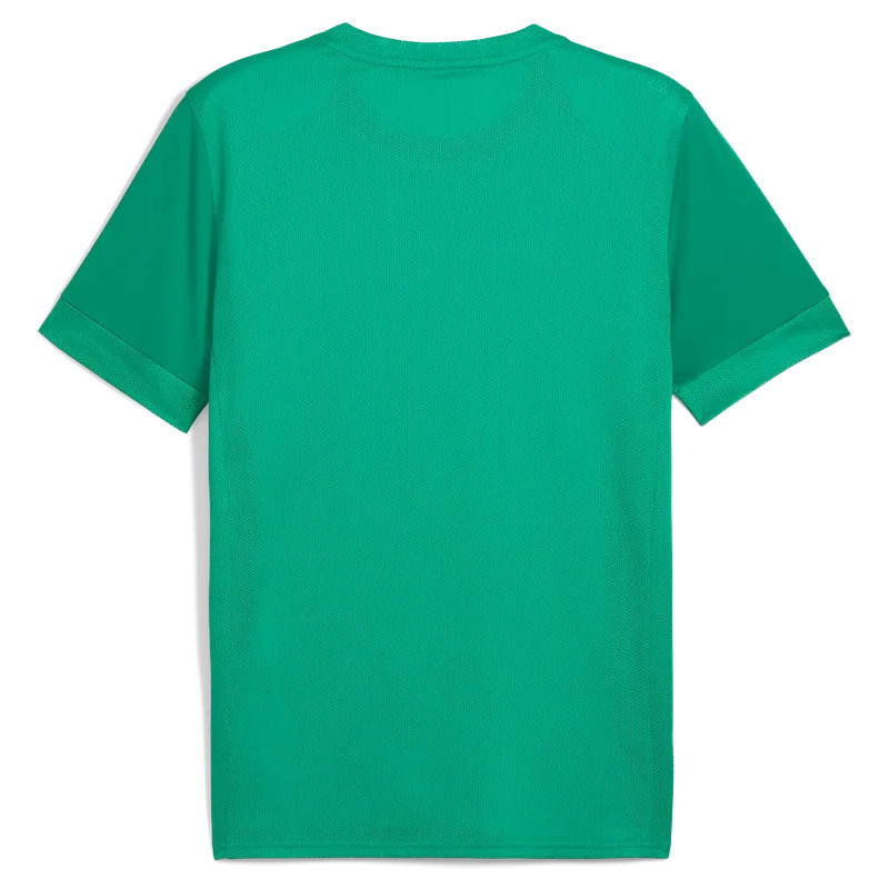 Maillot PUMA teamGOAL Graphic Jersey | CLUB-SHOP.fr