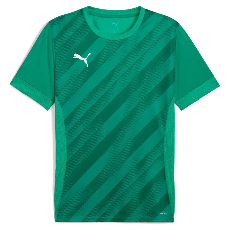 Maillot PUMA teamGOAL Graphic Jersey | CLUB-SHOP.fr