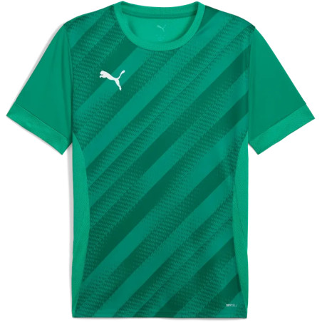 Maillot PUMA teamGOAL Graphic Jersey | CLUB-SHOP.fr