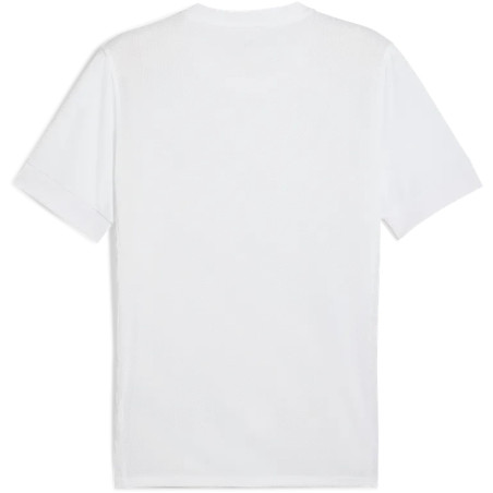 Maillot PUMA teamGOAL Graphic Jersey | CLUB-SHOP.fr