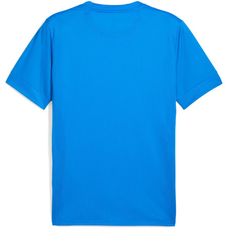 Maillot PUMA teamGOAL Graphic Jersey | CLUB-SHOP.fr