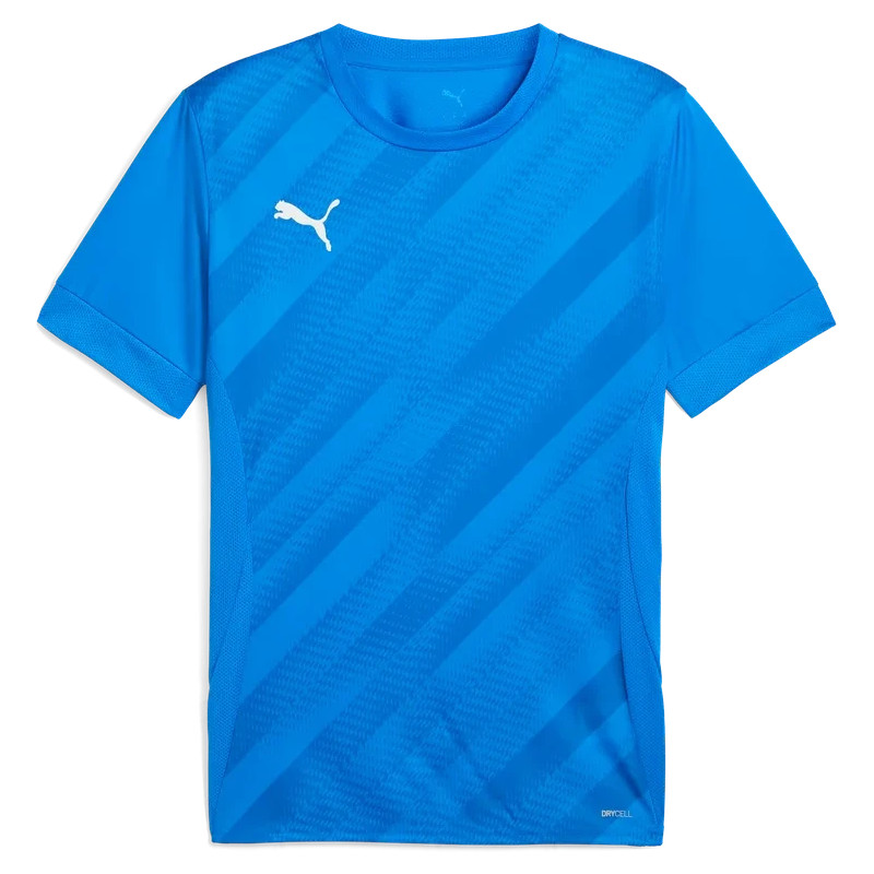 Maillot PUMA teamGOAL Graphic Jersey | CLUB-SHOP.fr