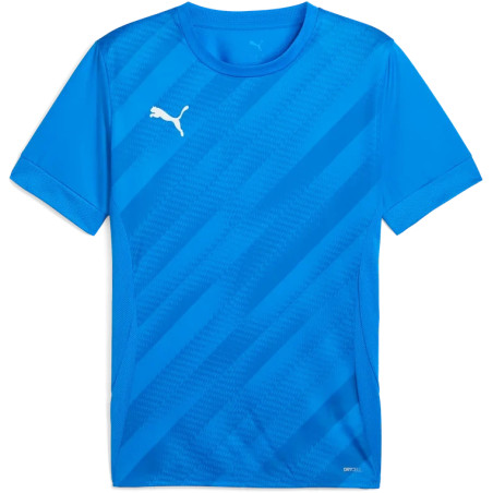 Maillot PUMA teamGOAL Graphic Jersey | CLUB-SHOP.fr