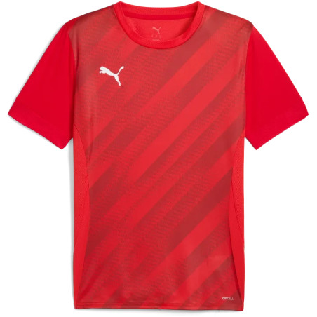 Maillot PUMA teamGOAL Graphic Jersey | CLUB-SHOP.fr