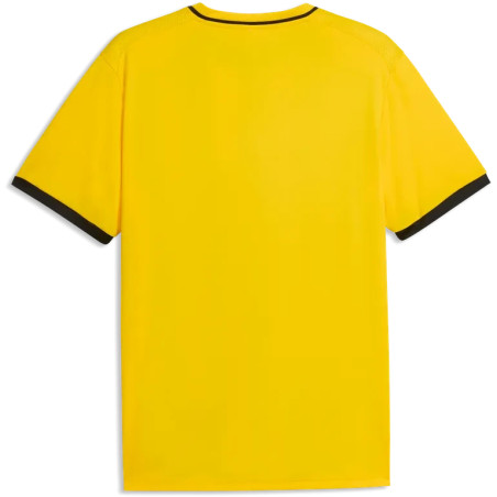 Maillot PUMA teamLIGA26 Striped Jersey | CLUB-SHOP.fr