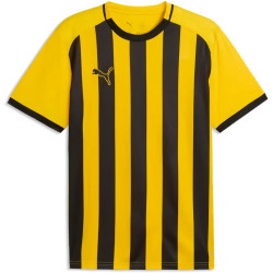 Maillot PUMA teamLIGA26 Striped Jersey | CLUB-SHOP.fr 2